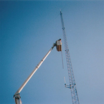 Gary Eagle Tree Service