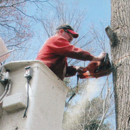 Gary Eagle Tree Service