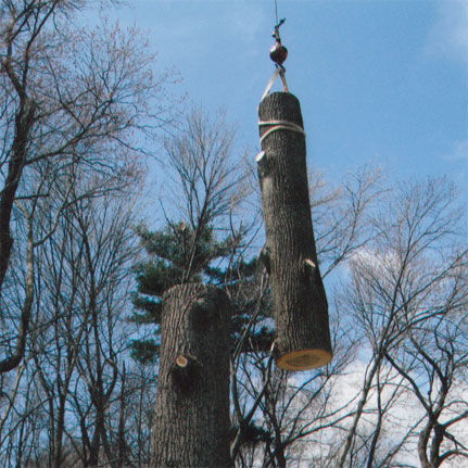 Gary Eagle Tree Service