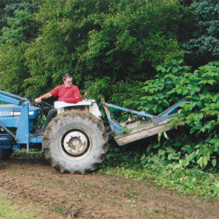 Gary Eagle Tree Service