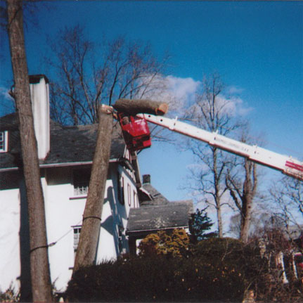 Gary Eagle Tree Service