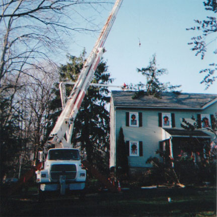 Gary Eagle Tree Service